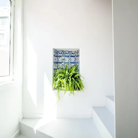 1br Charming In The Heart Of Santos | By Airnest Lisbon